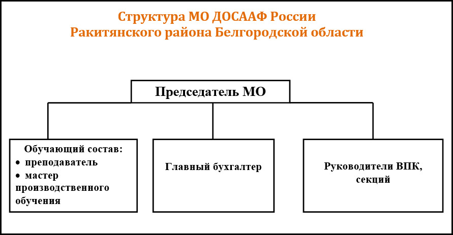 Структура ДОСААФ